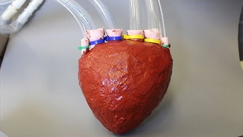 New materials to change the future: Artificial heart, thirsty concrete and more - Compilation