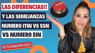 ¿Cuál es la diferencia entre SSN y EIN?