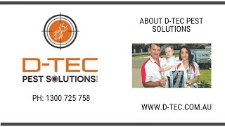 Pest Control Brisbane - D-Tec Pest Solutions