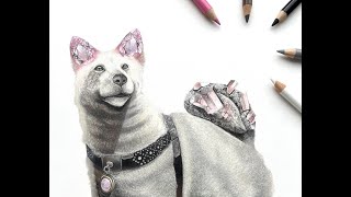 ハチ公×モルガナイト
