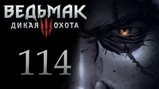 The Witcher 3 / Ведьмак 3 прохождение игры на русском - Сыр и тёмные силы [#114] | PC