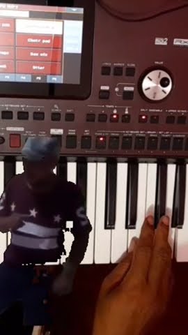 reff camelia #feedshorts #shorts