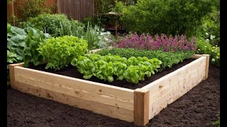 The Benefits of Raised Bed Gardening: Better Soil, Better Drainage