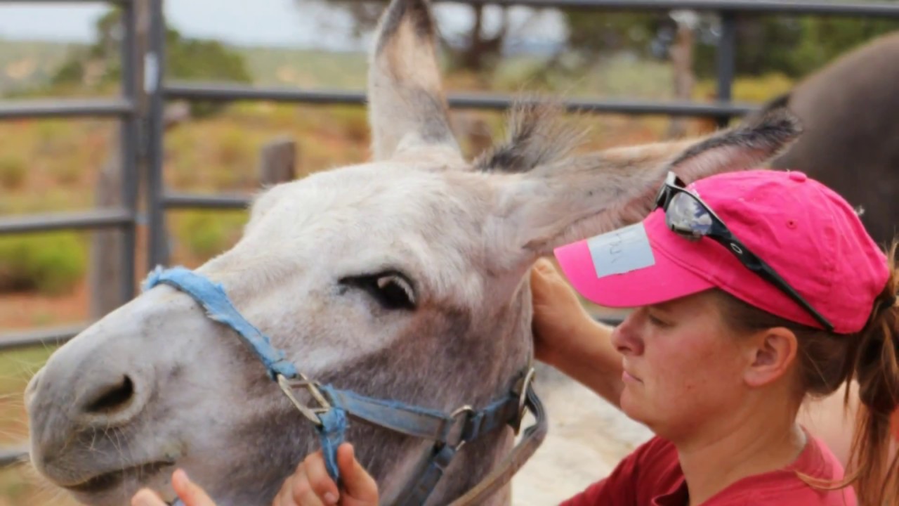 Navajo Mountain Photo show with the CVM Team Day 1