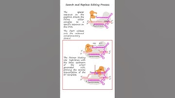 Prime Editing: A CRISPR-based Genetic Modification Method #genetics #geneticmodification