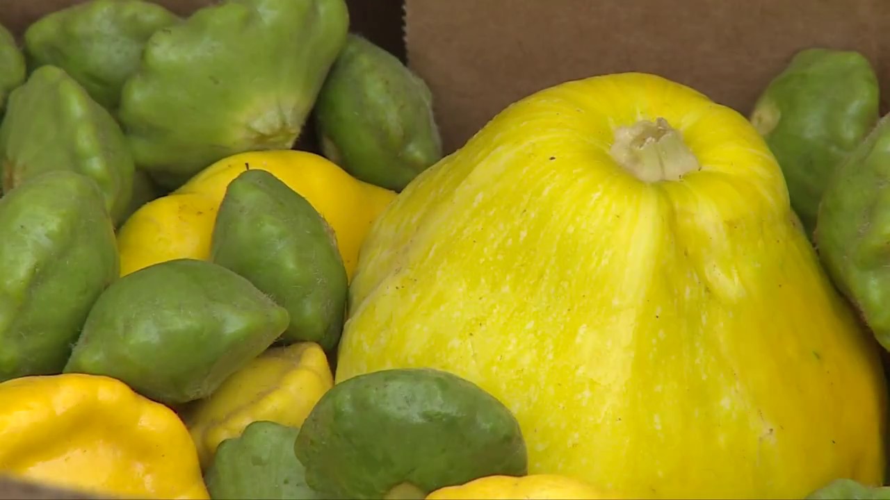 Hennepin County Food Rescue YouTube