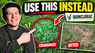 The Only Crabgrass Killer You Need for a Perfect Lawn