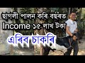     income    goat farm in assam goatfarminassam goat