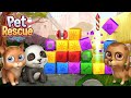 CAN I RESCUE THESE PETS Pet Rescue Saga Gameplay Walkthrough 