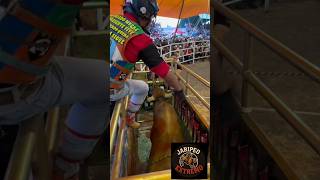 el canelo de los destructores hace un K.O 😲😱🔥 #jaripeo #jinetes #reparos #torosdereparo #adrenalina