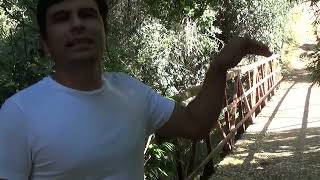 ESTO ES COIHUECO: LOS QUEÑES