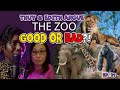 Is the Zoo Good or Bad?? | Thuy &amp; Edith Argue Ep  21 Tea Time Podcast