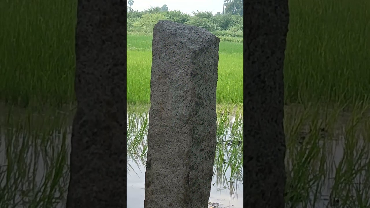 # vivasayam song // village life     🎵 Nellai Anthem . Al- rufian