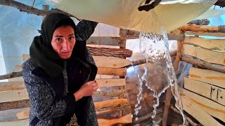 A tragic story of a homeless mother's kidney being destroyed by a blizzard