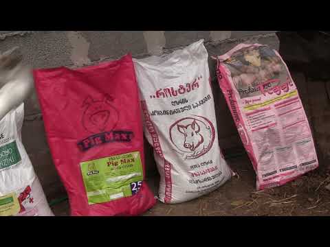 გავტესტე დედაღორის მზა საკვები...მაქვს შენიშვნები...