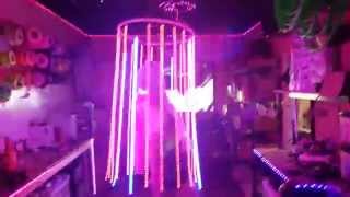 LED Grow Lights for growing Plants - Colorado Hula Hoops goes Grow screenshot 5
