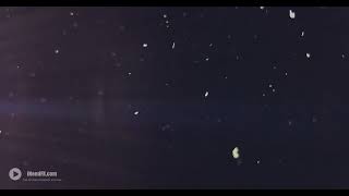 Various Granularity Of Dust Particles Flying On Black Background - Free Video Footage