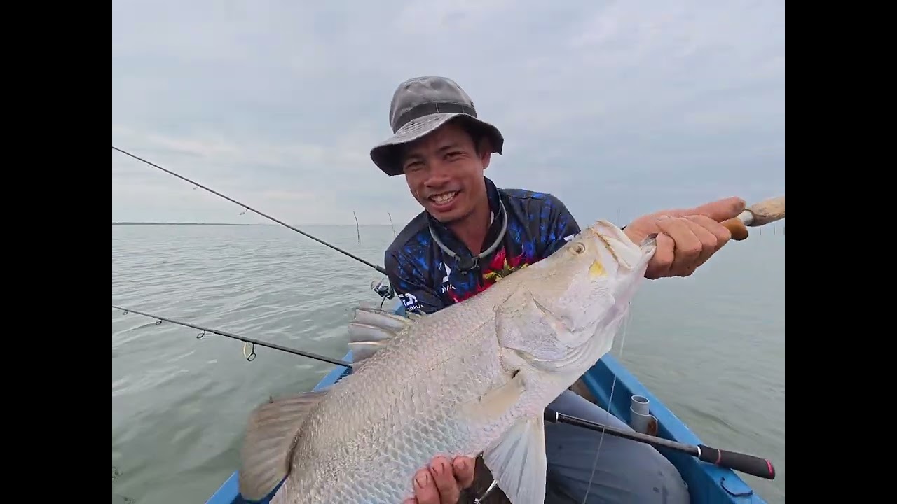 Đụng bầy cá chẻm ở biển Tây kéo đã tay luôn cả nhà ơi 🐠🐟…