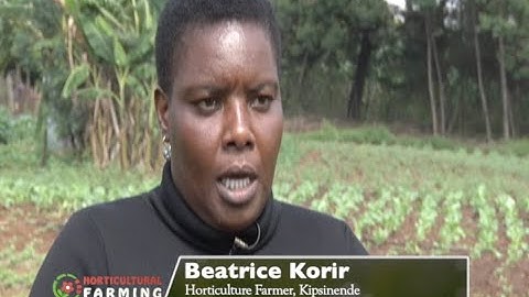 Small scale horticulture farming and how to make the most - Part 2