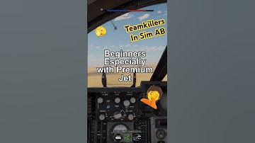 The PROBLEM with Air Sim BEGINNERS / TEAMKILLERS #warthunder #simulator #beginners #tutorial