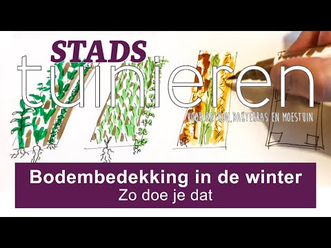 Video: Hoe Wormen In De Winter Te Houden?