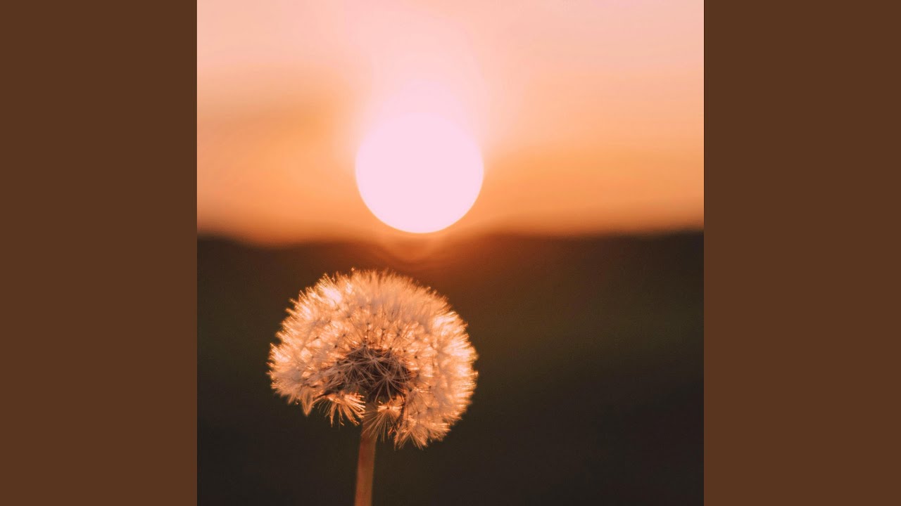 time in the sun (feat. HereisSteve)