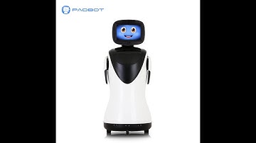 Reception Robot Model P3 Client Reception Dance Performance