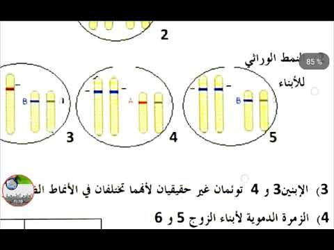 2ثانوي  # الطفرات #اختبارات الفصل الثالث في العلوم الطبيعية والحياة السنة الثانية علوم تجريبية