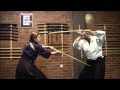 Ogawa Ryu - Kenjutsu Toritake - Juliana Galende - Class Moments - 2014