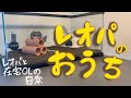 【レオパ】おうち紹介【シェルター】