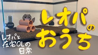 【レオパ】おうち紹介【シェルター】