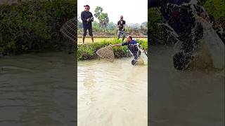 Download Lagu Wow! Amazing Polo Fishing Videos ! Best Big Fish Catching🐟Primitive fishing #fish #shorts #india MP3