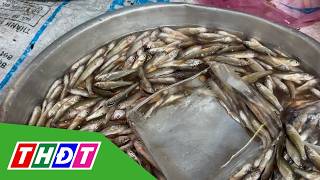 Price of linh fish