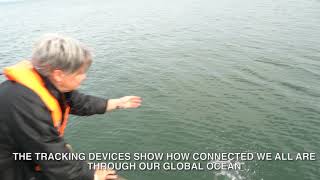 COP26 Message in a Bottle
