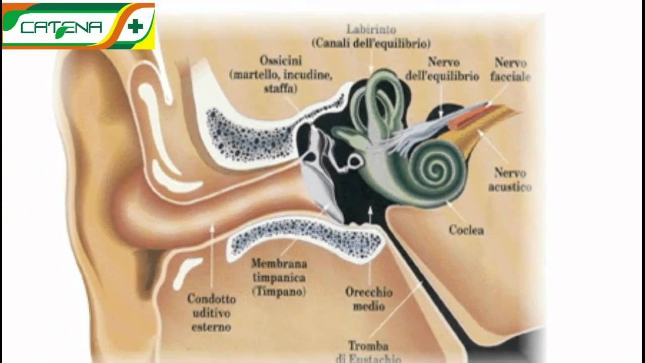 cum să tratezi o articulație a urechii)