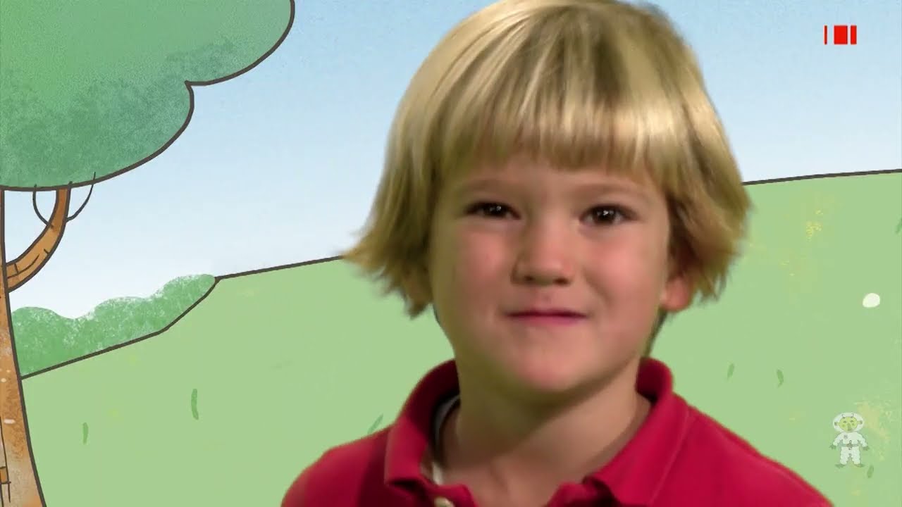 Letrilandia 2 Canciones Colección 2 (p, l, m, s)