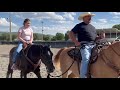 Watch: Spring Creek girl fulfills horse-riding dream
