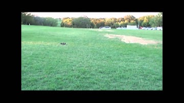 BWD Phantom 2WD Chassis for Traxxas Slash, Stampede, Rustler