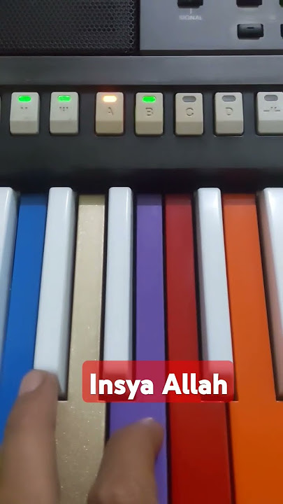 Insya Allah #keyboardmurah #dangdut #karaoke #keyboardistindonesia