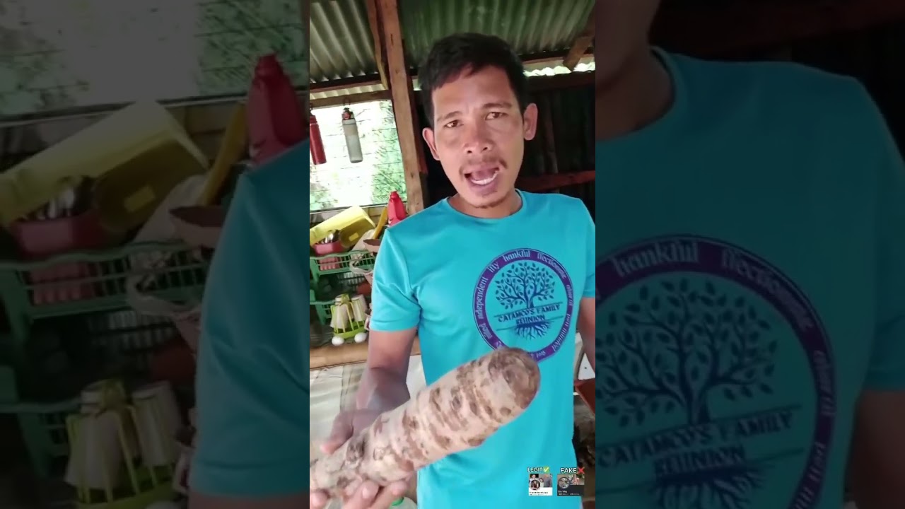 Funny video compilation 😂