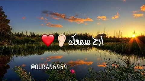 ارح سمعك|تلاوة رائعة من الشيخ ياسر الدوسري✨