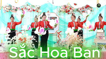 SẮC HOA BAN RẤT TUYỆT VỜI - NHÓM MÚA HOA BAN.