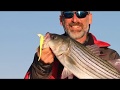 How To Rig A BKD Lure And Choose Colors How To Rig A BKD Lure And Choose Colors