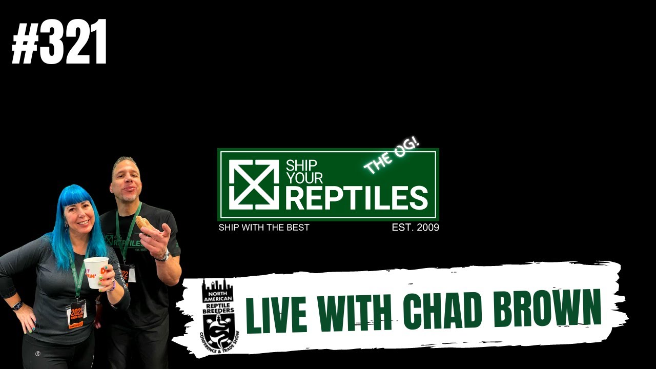 Sitting down with the legendary Chad Brown LIVE at NARBC Tinley | Ship