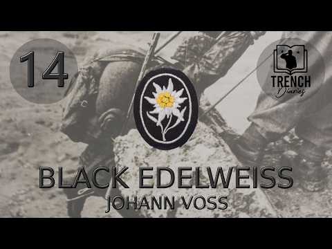 14 | Black Edelweiss | Serving in the Waffen-SS Gebirgsjägerregiment 11