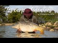 Peche de la carpe  un automne au domaine du frne