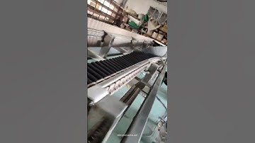 Bottle horizontal vertical horizontal feeding conveyor upside down equipment