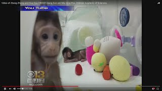 Move Over, Dolly: Monkeys Cloned In China