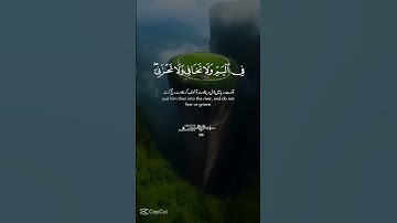 القران الكريم بصوت جميل للنوم راحة نفسية |سورة القصص | 🕌🕌🇵🇸
