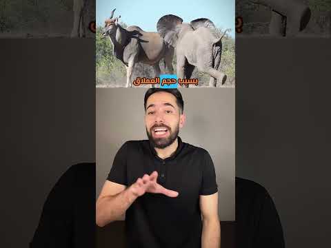 العلند العملاق هو واحد من أضخم الظباء في العالم وي عتبر العملاق الهادئ في السافانا الإفريقية